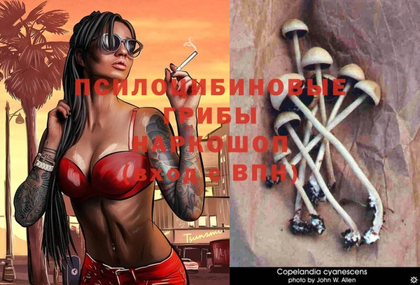дурь Елизово