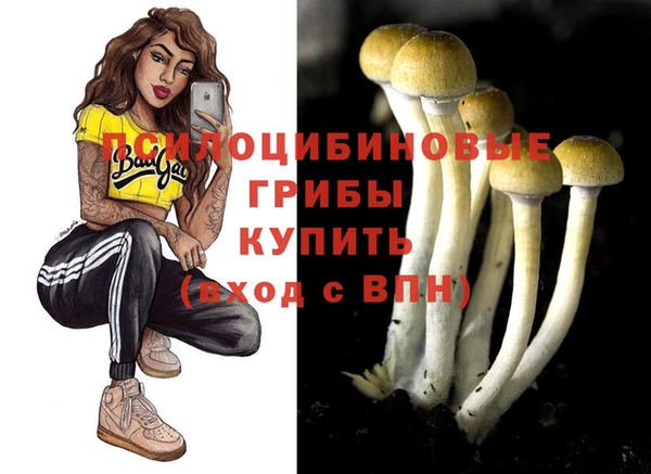дурь Елизово