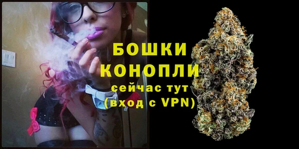 дурь Елизово
