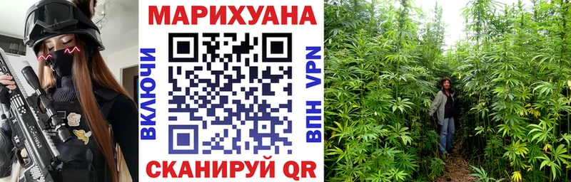 Купить где  Мариинский Посад  Каннабис конопля 